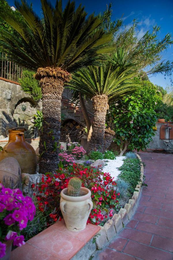 Villa Paradiso Sant'Angelo  Exterior photo